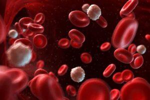 Vitamins for Blood Circulation
